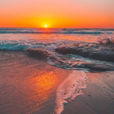 71771威尼斯.Cm下载手机版