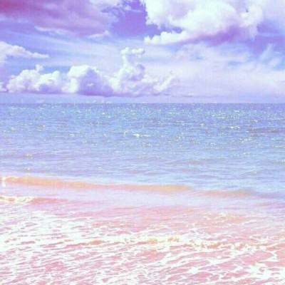 KOK·综合体育app