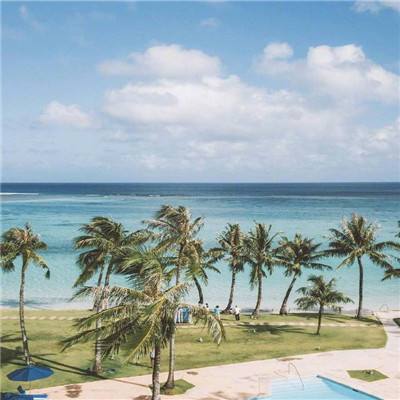 KOK·综合体育app