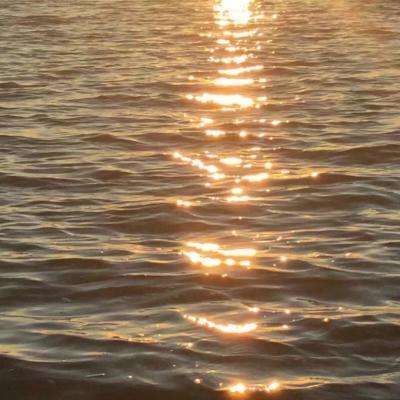 棋牌游戏下载手机版