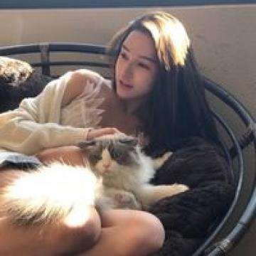 2023年香港资料精准下载手机版